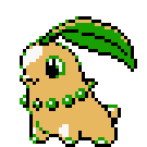 Chikorita