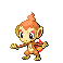 Chimchar