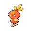 Torchic