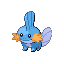 Mudkip